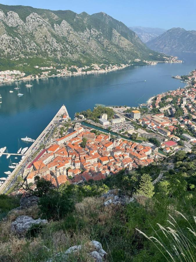 Villa Skyline Kotor Buitenkant foto